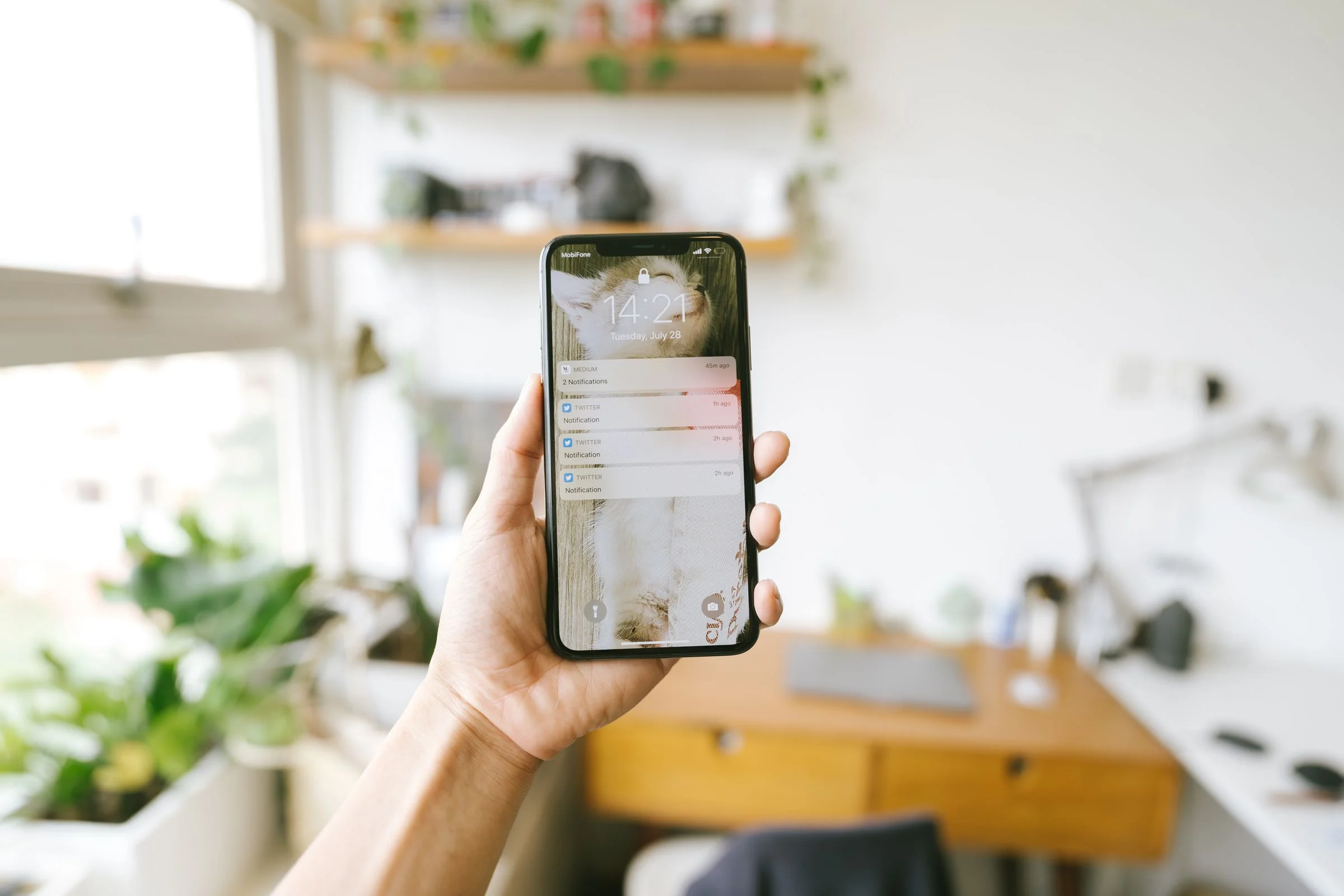 Toute l'actualité de TOWeb sur WhatsApp !