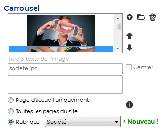 Carrousel dans les pages TOWeb